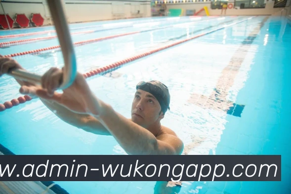 App Interface Preview