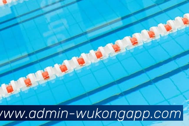 悟空体育appAPP 封面图